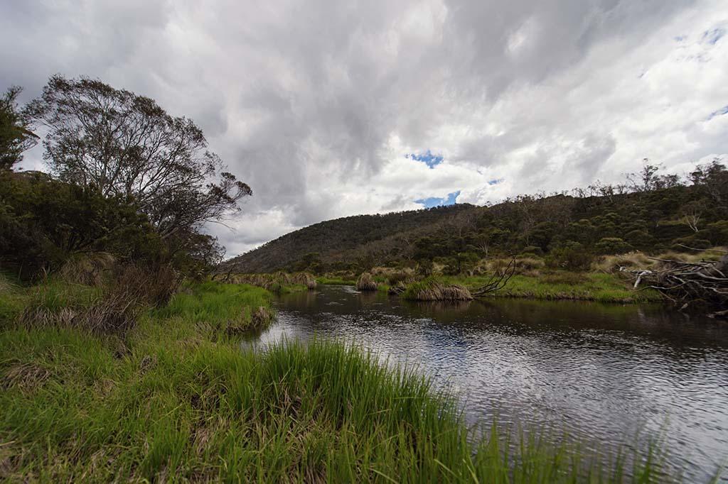 Rainbow Pines Tourist Caravan Park Adaminaby Buitenkant foto
