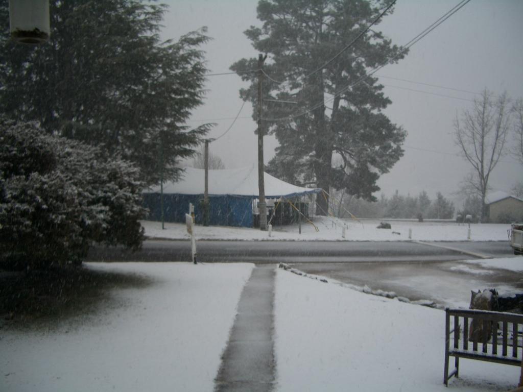 Rainbow Pines Tourist Caravan Park Adaminaby Buitenkant foto